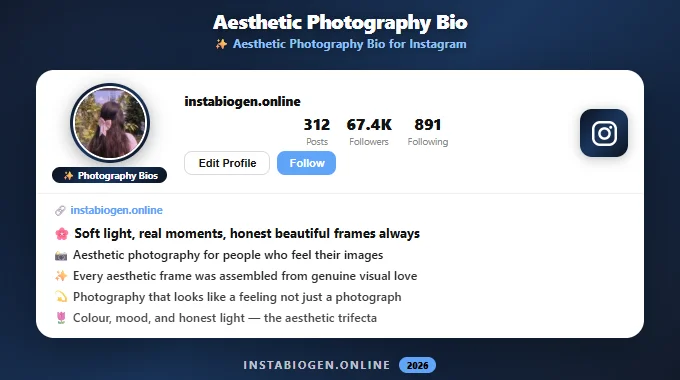 Aesthetic Photography Bio for Instagram